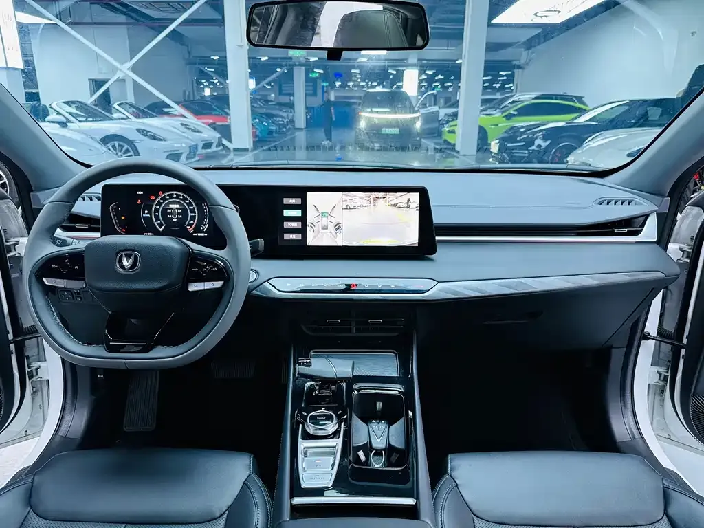 Changan Ruicheng PLUS 2024 из CN, фото 6