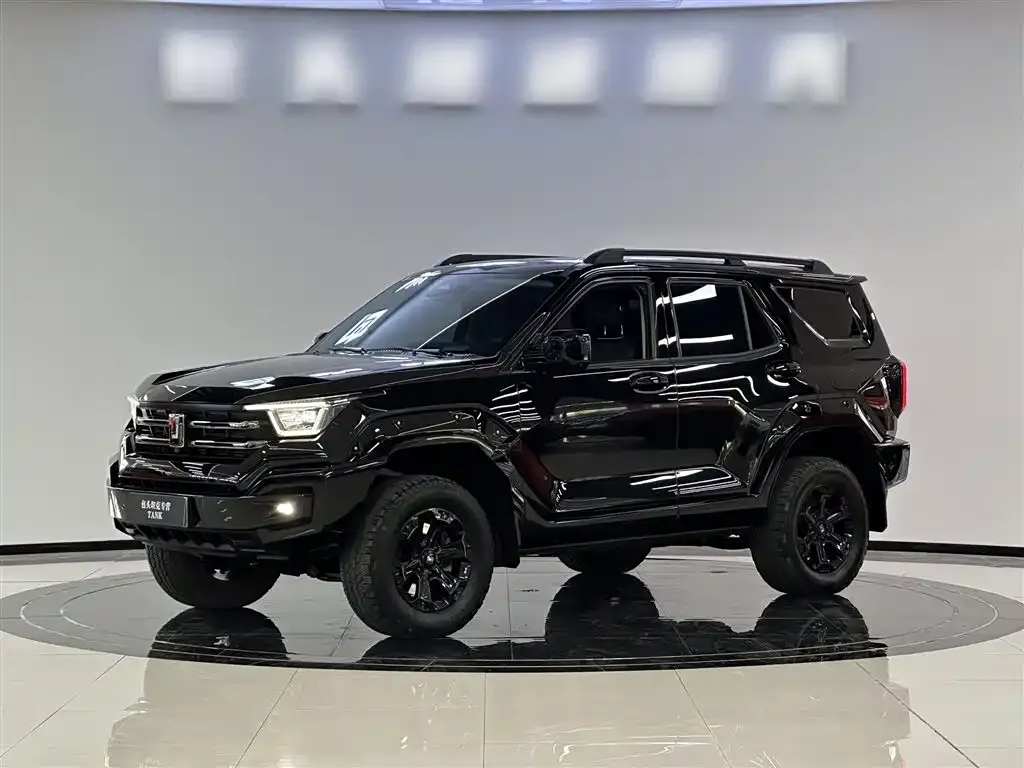Tank 400 New Energy 2024 из CN, фото 2