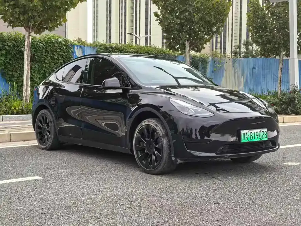 Tesla Model Y 2023 из CN, фото 2
