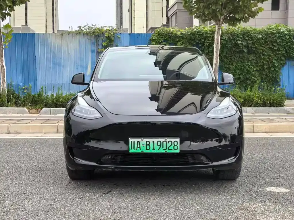 Tesla Model Y 2023 из CN, фото 3