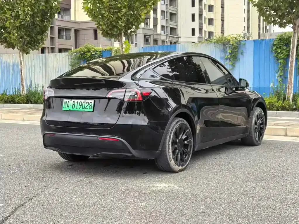 Tesla Model Y 2023 из CN, фото 8