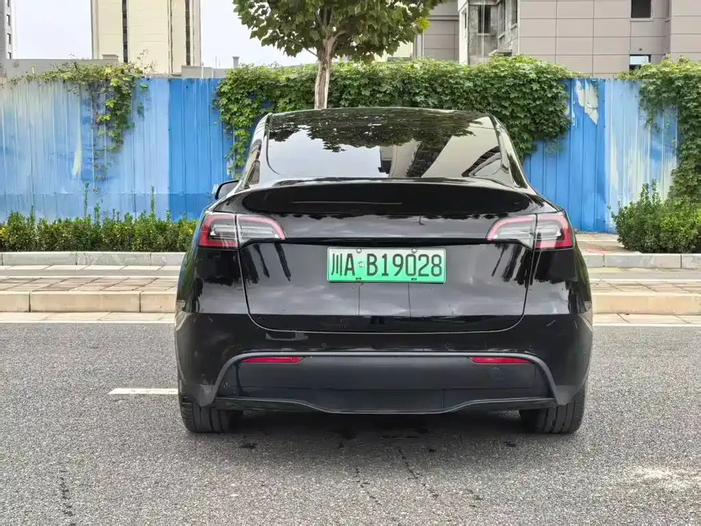 Tesla Model Y 2023 из CN, фото 9