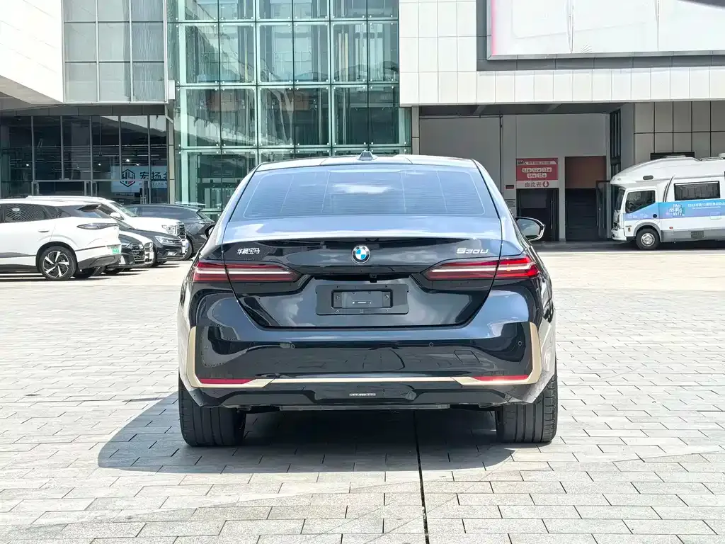 BMW 5 Series 2025 из CN, фото 6