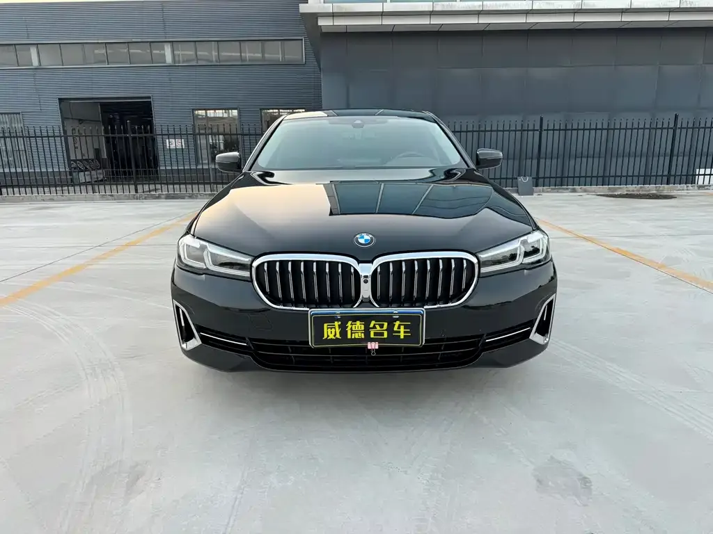 BMW 5 Series 2022 из CN, фото 2