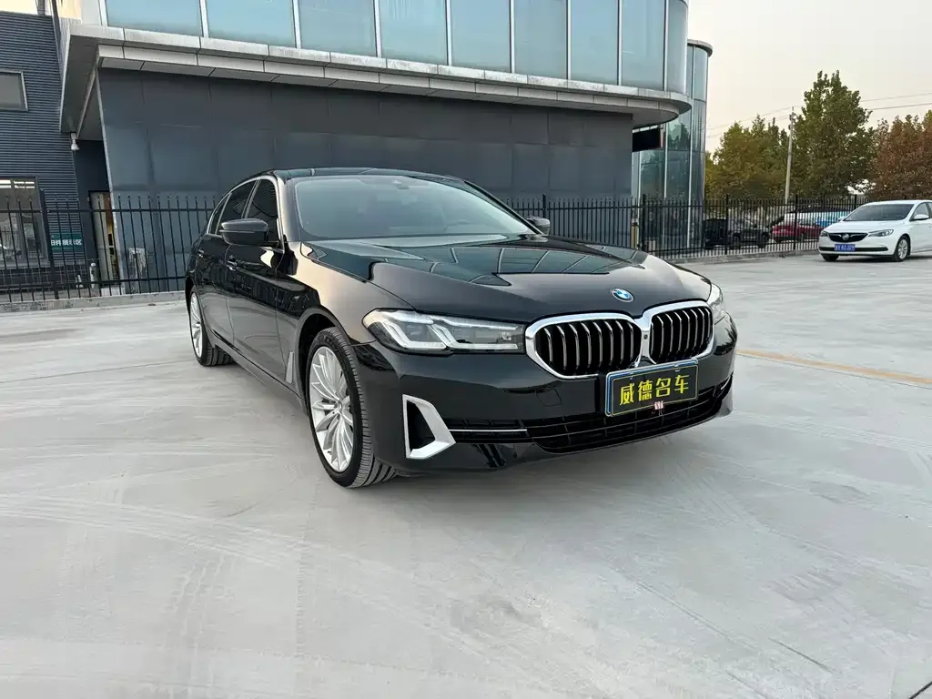 BMW 5 Series 2022 из CN, фото 3