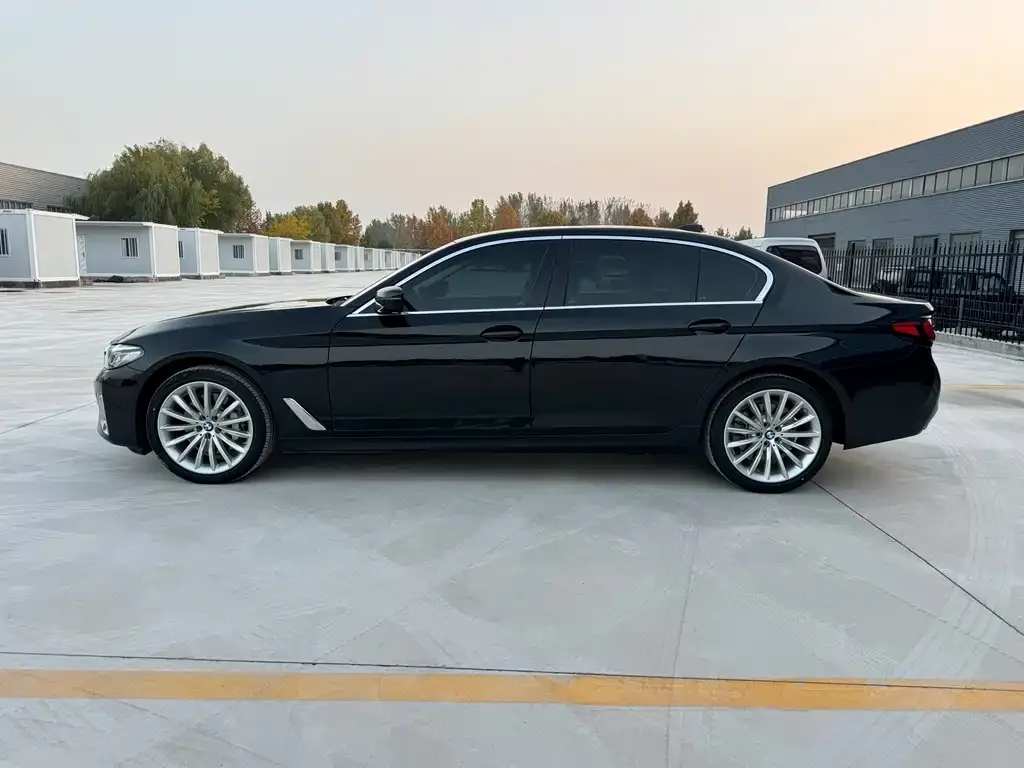 BMW 5 Series 2022 из CN, фото 4