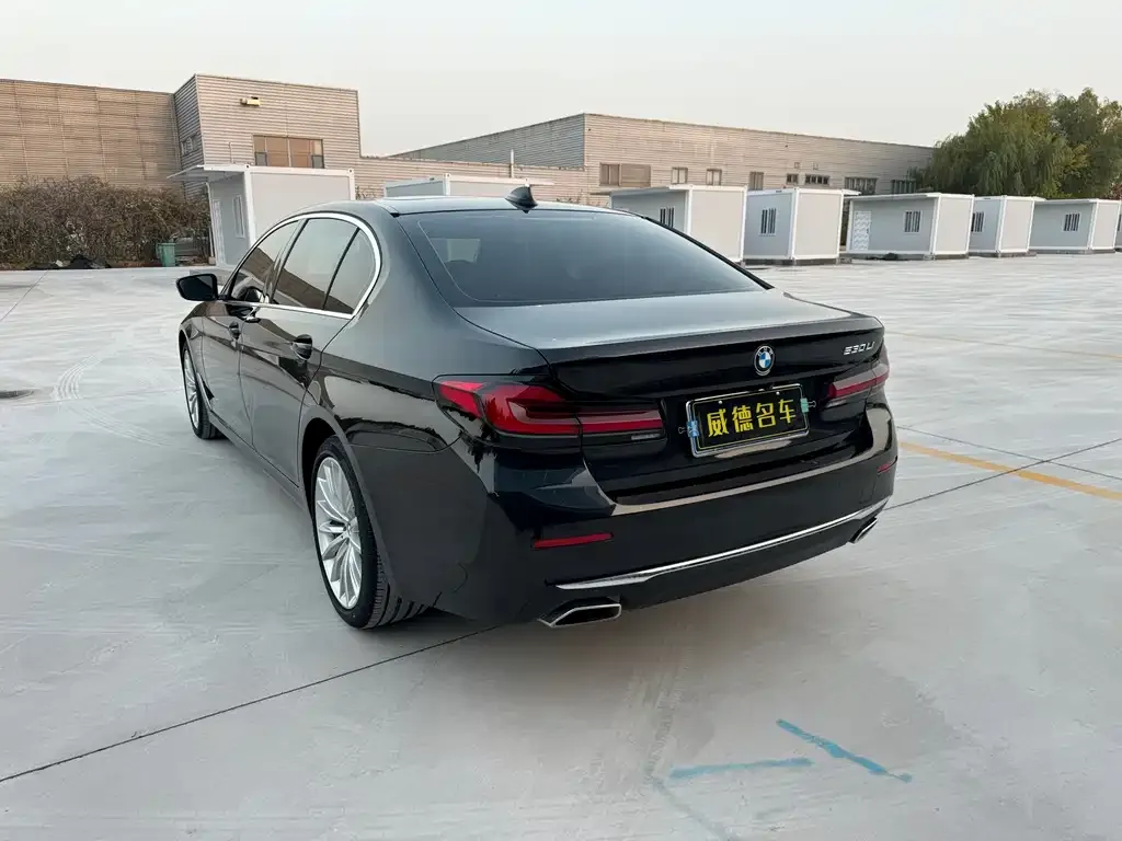BMW 5 Series 2022 из CN, фото 5
