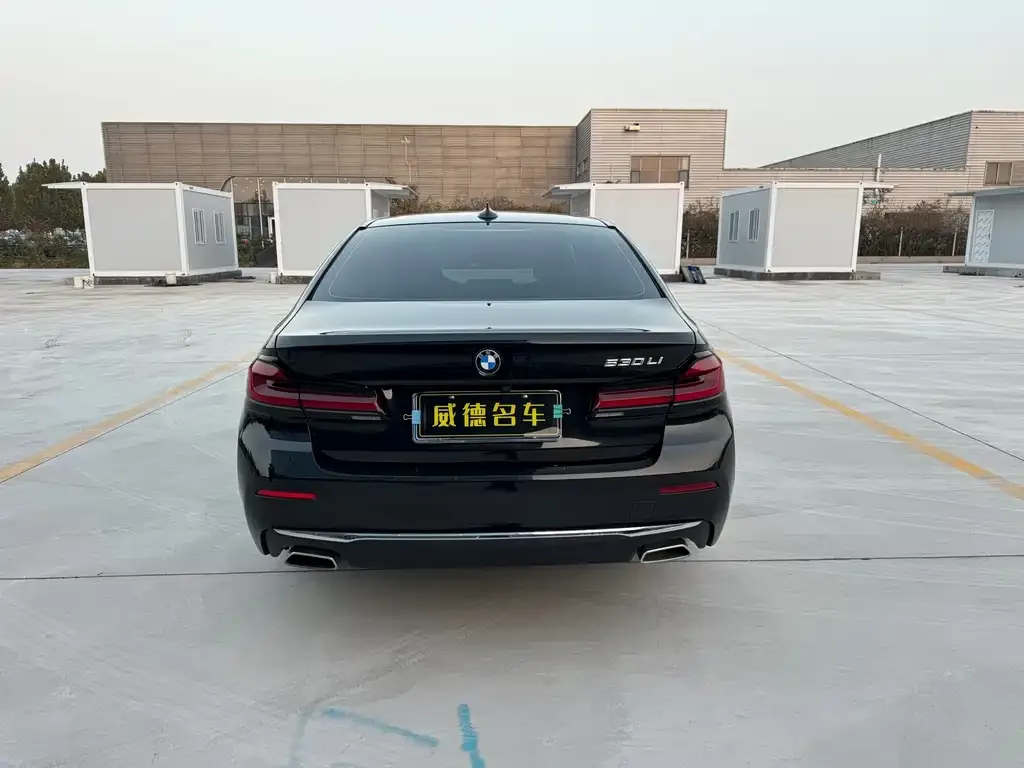 BMW 5 Series 2022 из CN, фото 6