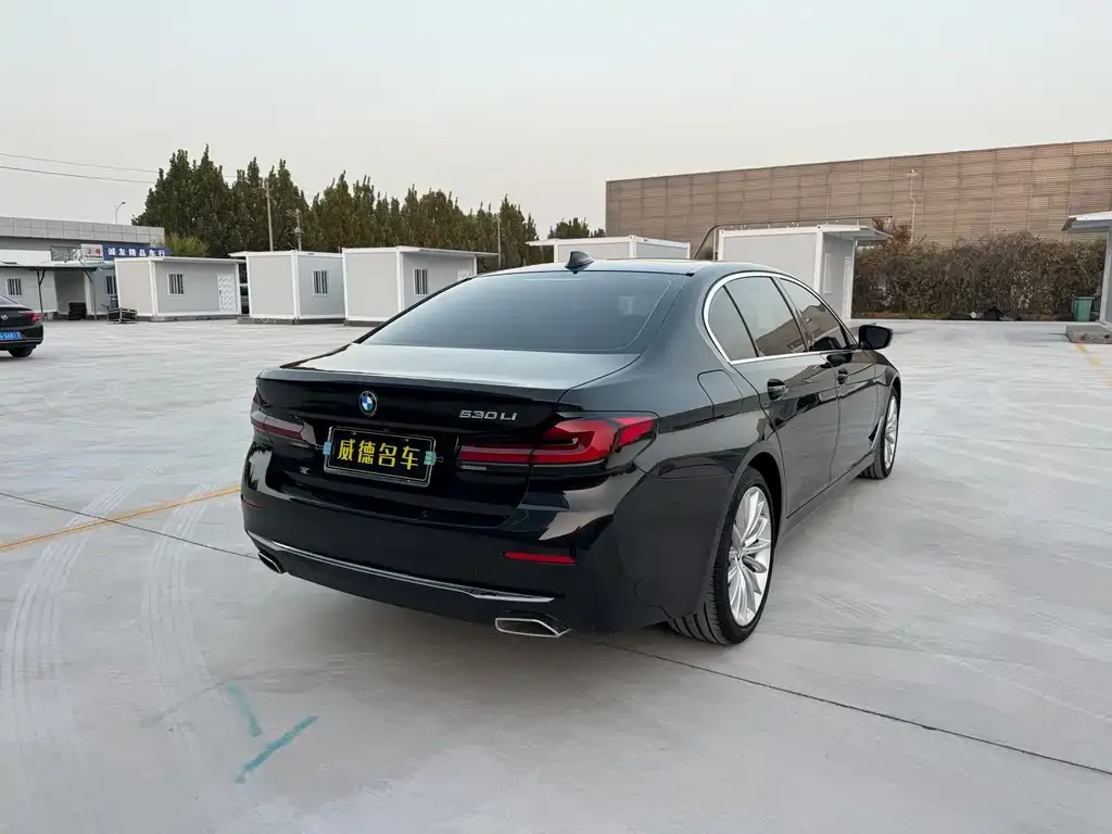 BMW 5 Series 2022 из CN, фото 7