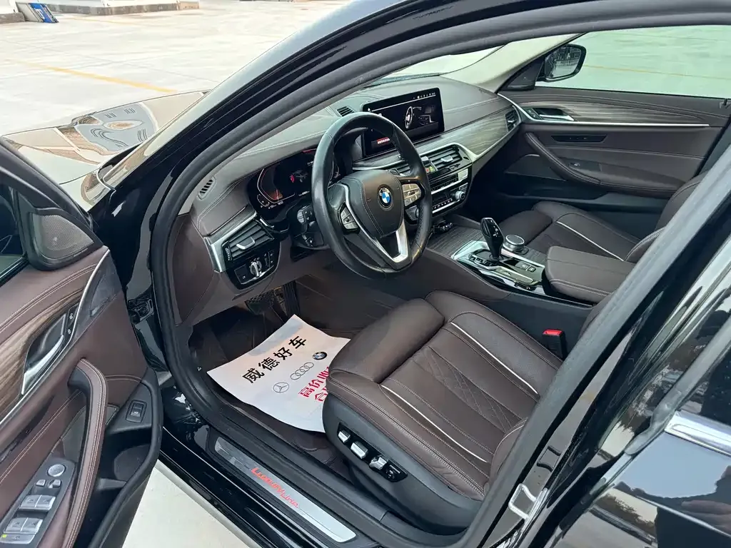 BMW 5 Series 2022 из CN, фото 8