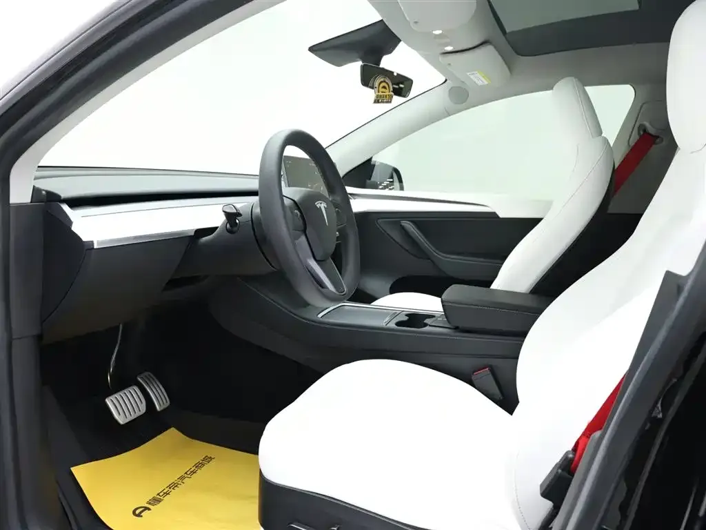 Tesla Model Y 2023 из CN, фото 8