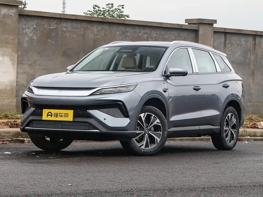 BYD Pro New Energy 2025 из CN, фото 1