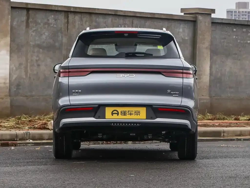 BYD Pro New Energy 2025 из CN, фото 10
