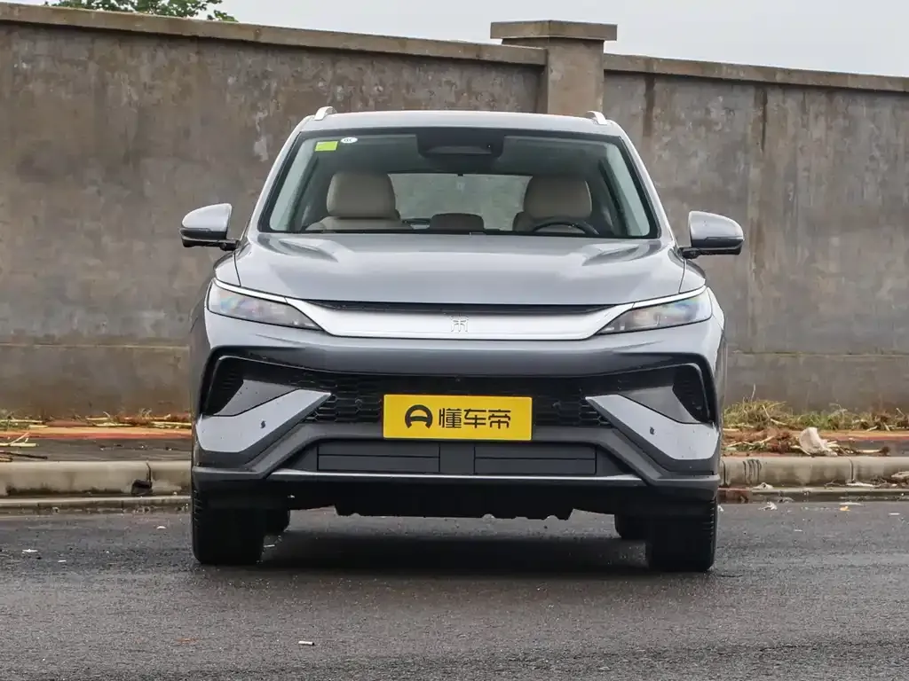 BYD Pro New Energy 2025 из CN, фото 2