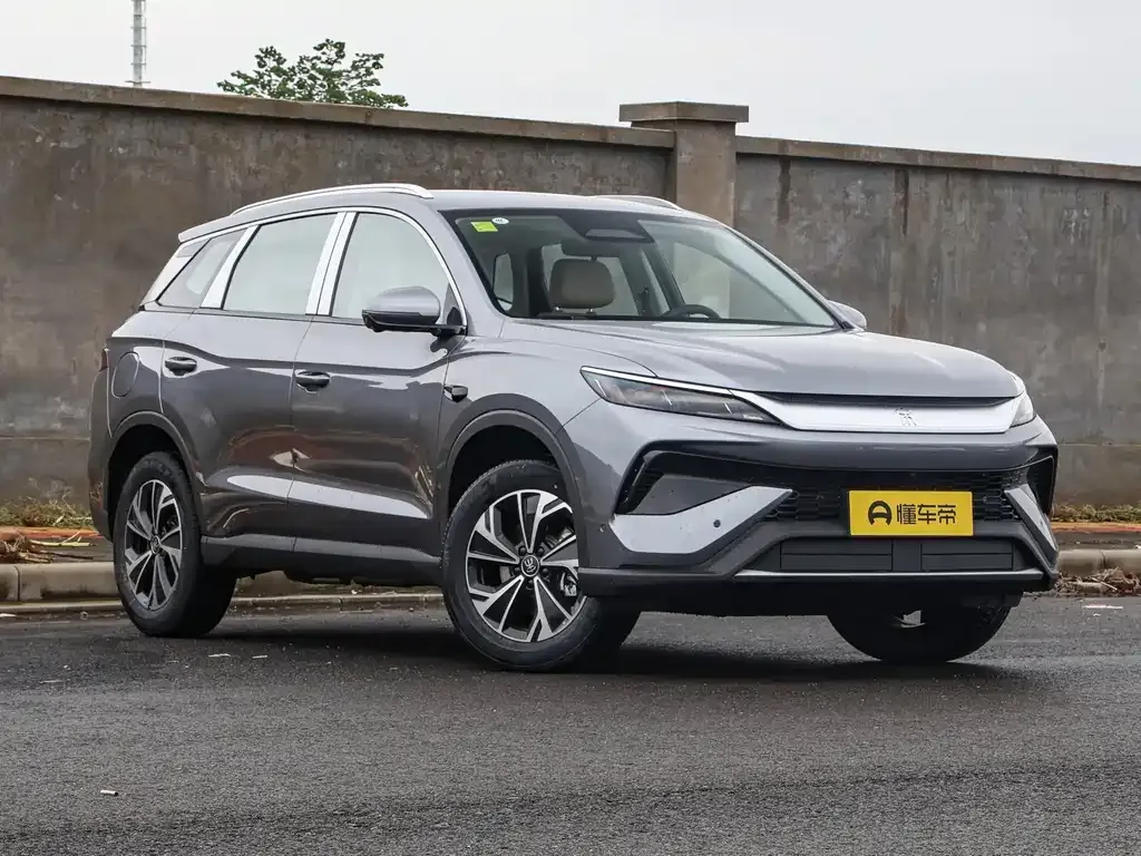 BYD Pro New Energy 2025 из CN, фото 3