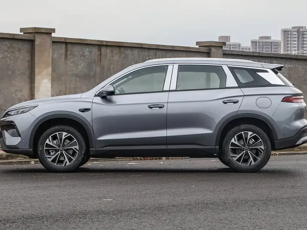 BYD Pro New Energy 2025 из CN, фото 4