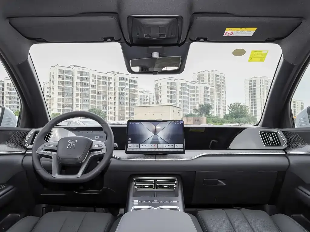BYD Pro New Energy 2025 из CN, фото 5