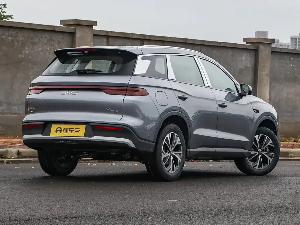 BYD Pro New Energy 2025 из CN, фото 7