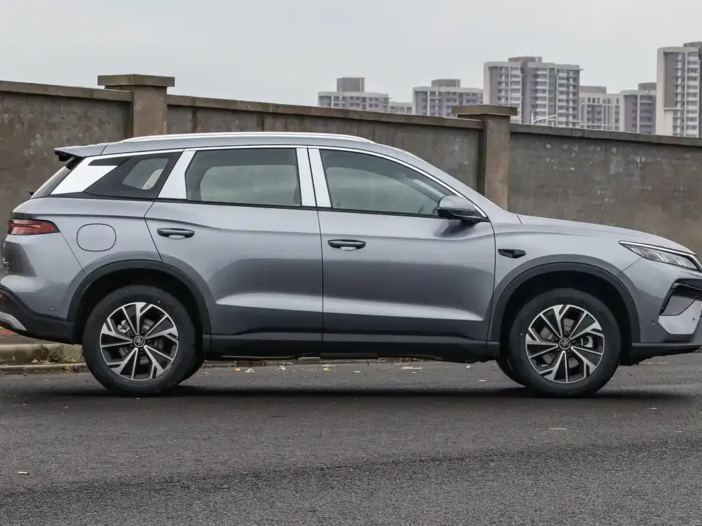 BYD Pro New Energy 2025 из CN, фото 8
