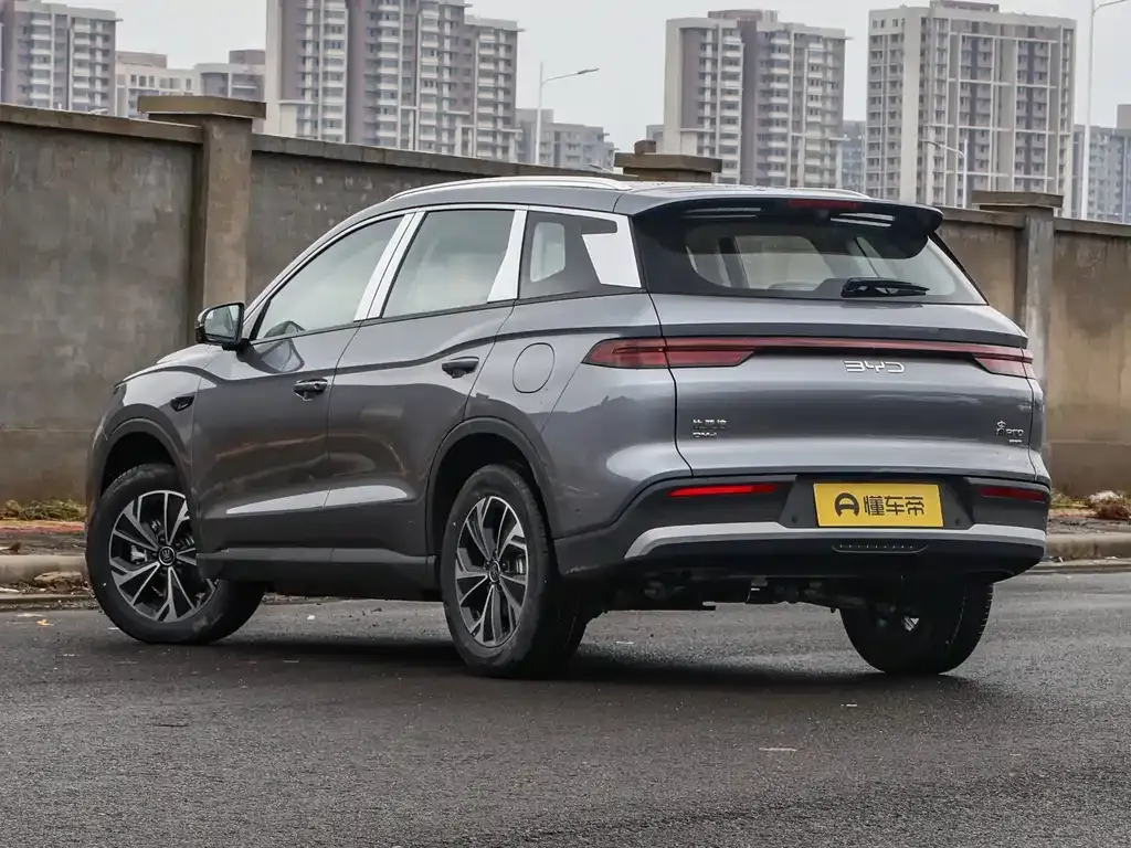 BYD Pro New Energy 2025 из CN, фото 9