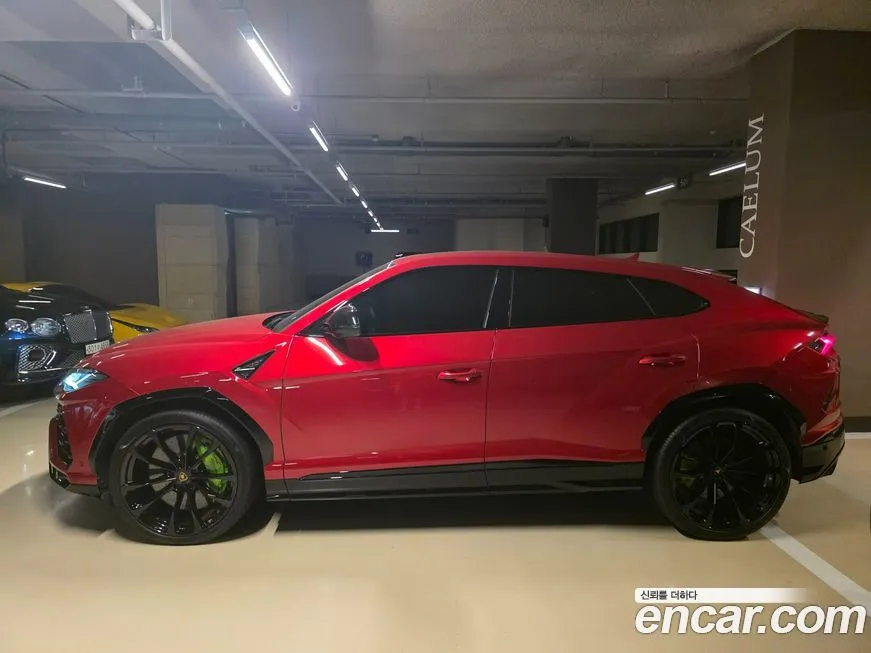 Lamborghini Urus 2022 из KR, фото 3