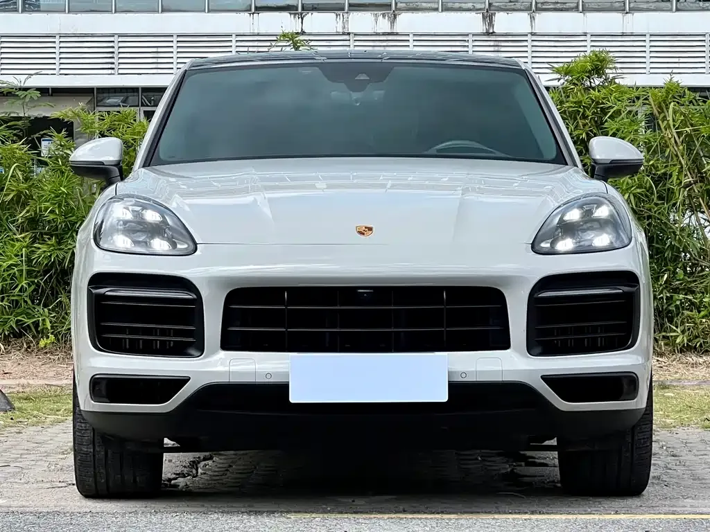Porsche Cayenne 2021 из CN, фото 2