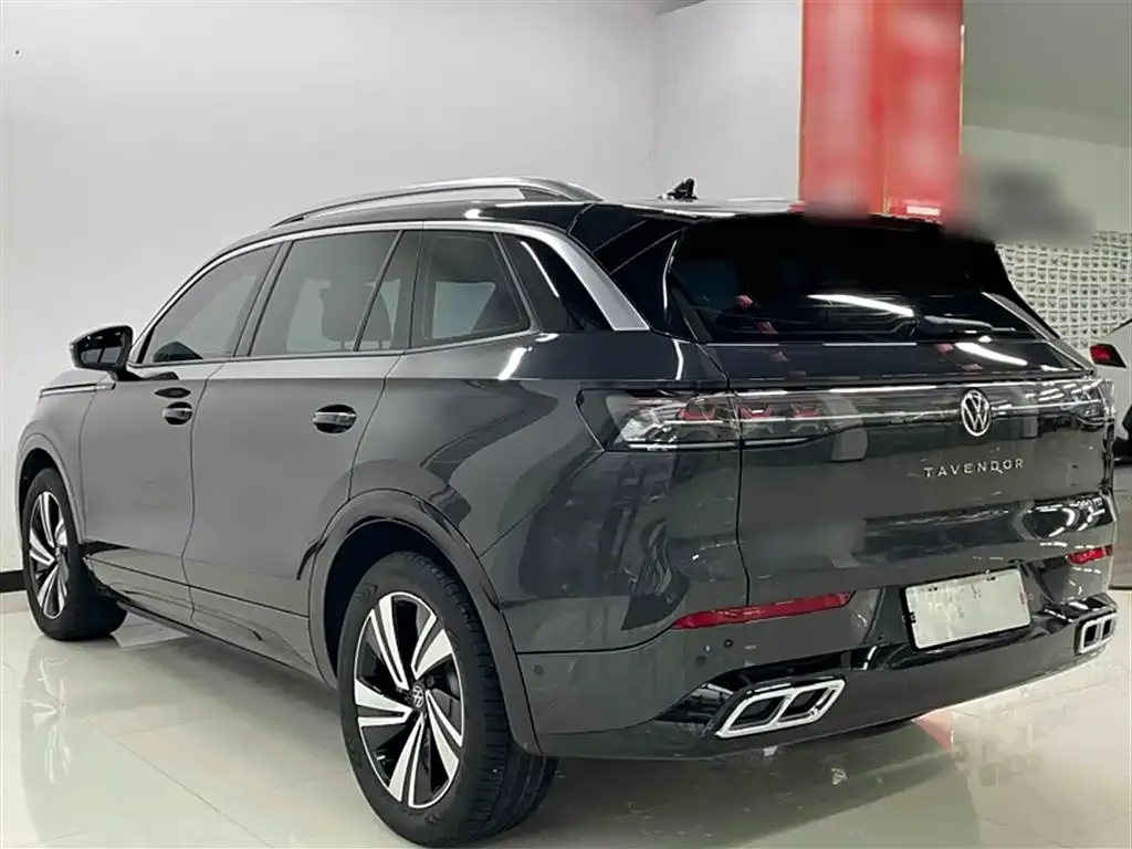 Volkswagen Tavendor 2023 из CN, фото 6