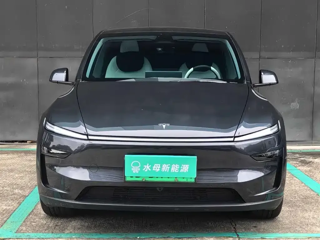 Tesla Model Y 2025 из CN, фото 2