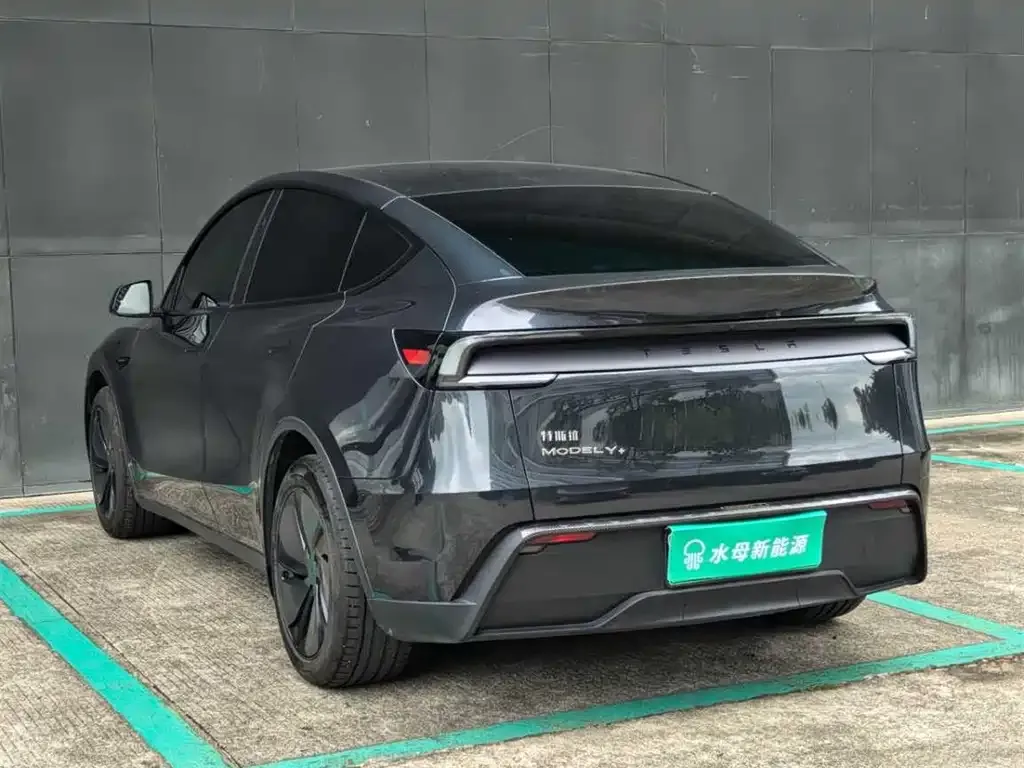 Tesla Model Y 2025 из CN, фото 8