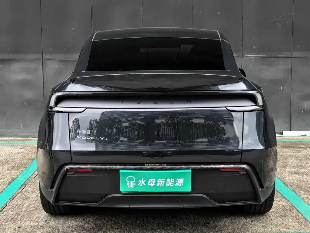 Tesla Model Y 2025 из CN, фото 9