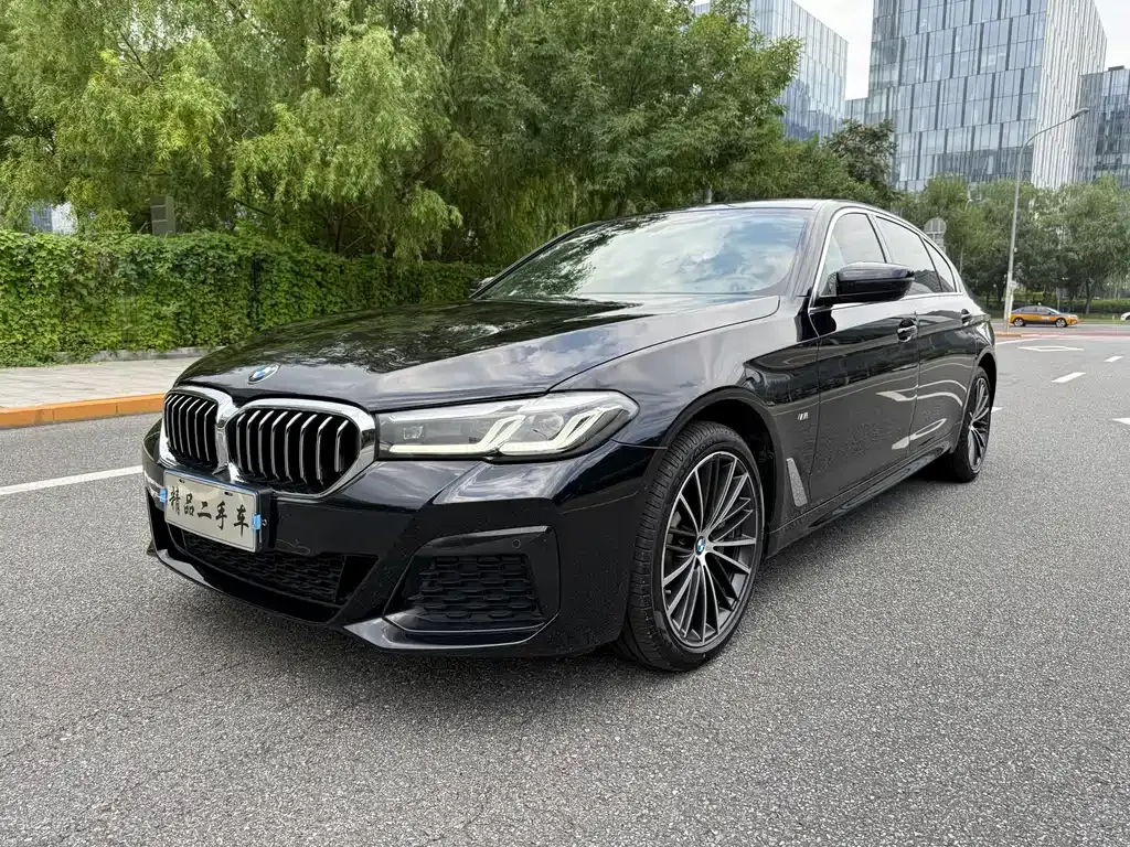 BMW 5 Series 2023 из CN, фото 1
