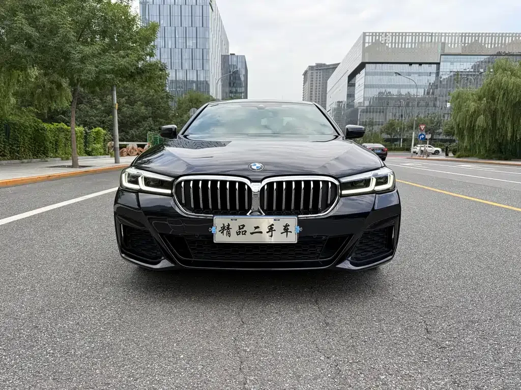 BMW 5 Series 2023 из CN, фото 2