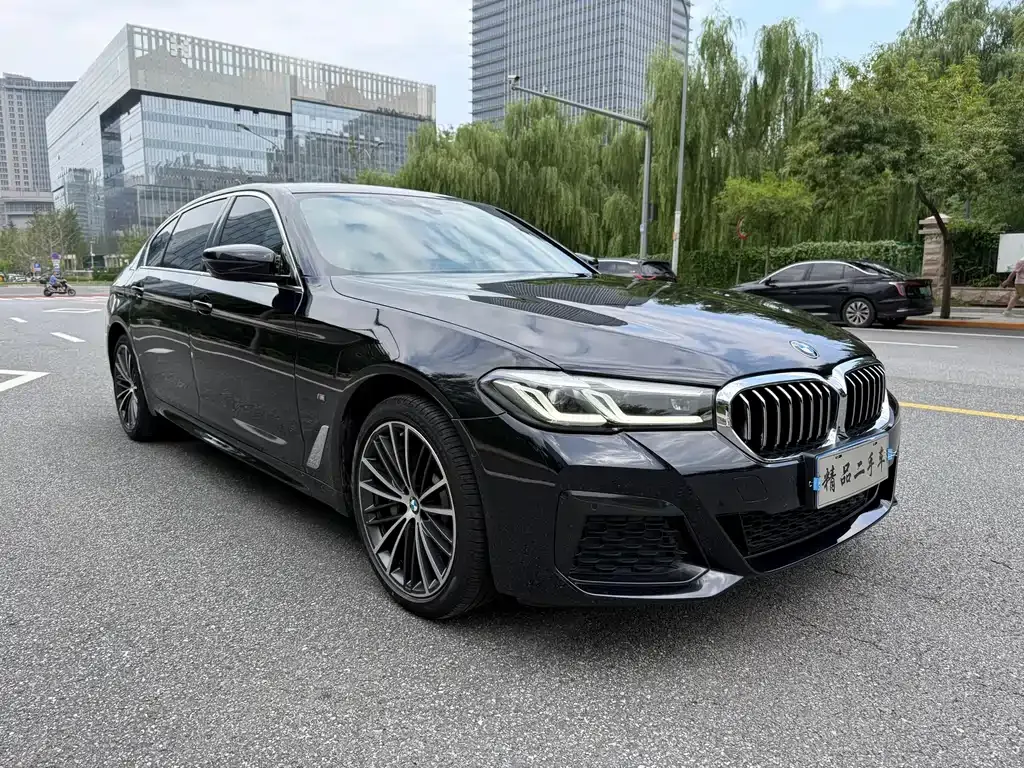 BMW 5 Series 2023 из CN, фото 3