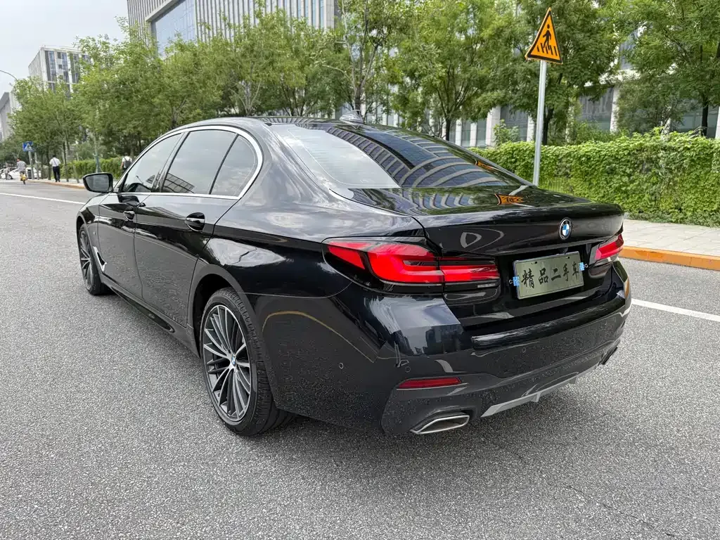 BMW 5 Series 2023 из CN, фото 4