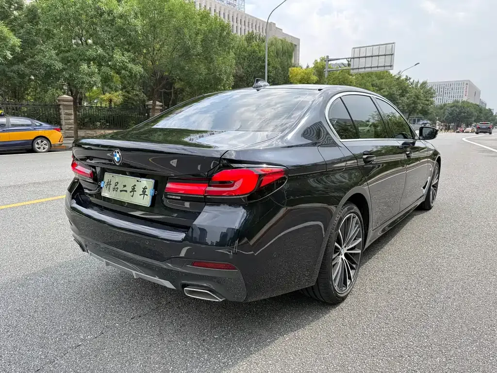 BMW 5 Series 2023 из CN, фото 6