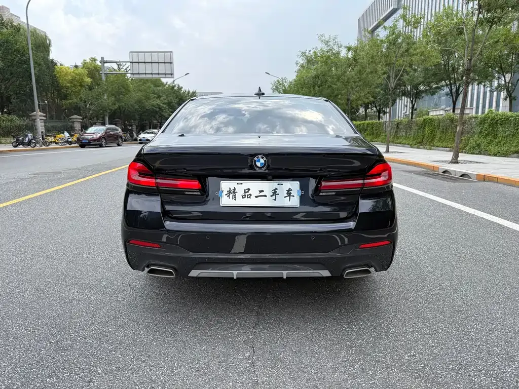 BMW 5 Series 2023 из CN, фото 7