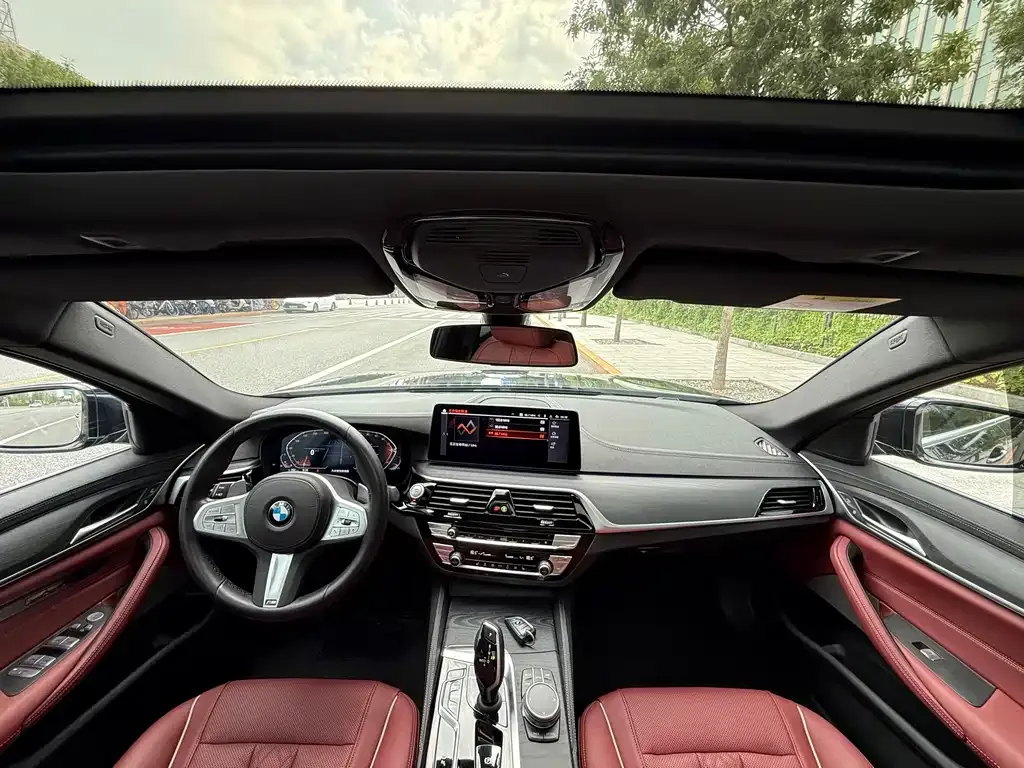 BMW 5 Series 2023 из CN, фото 8