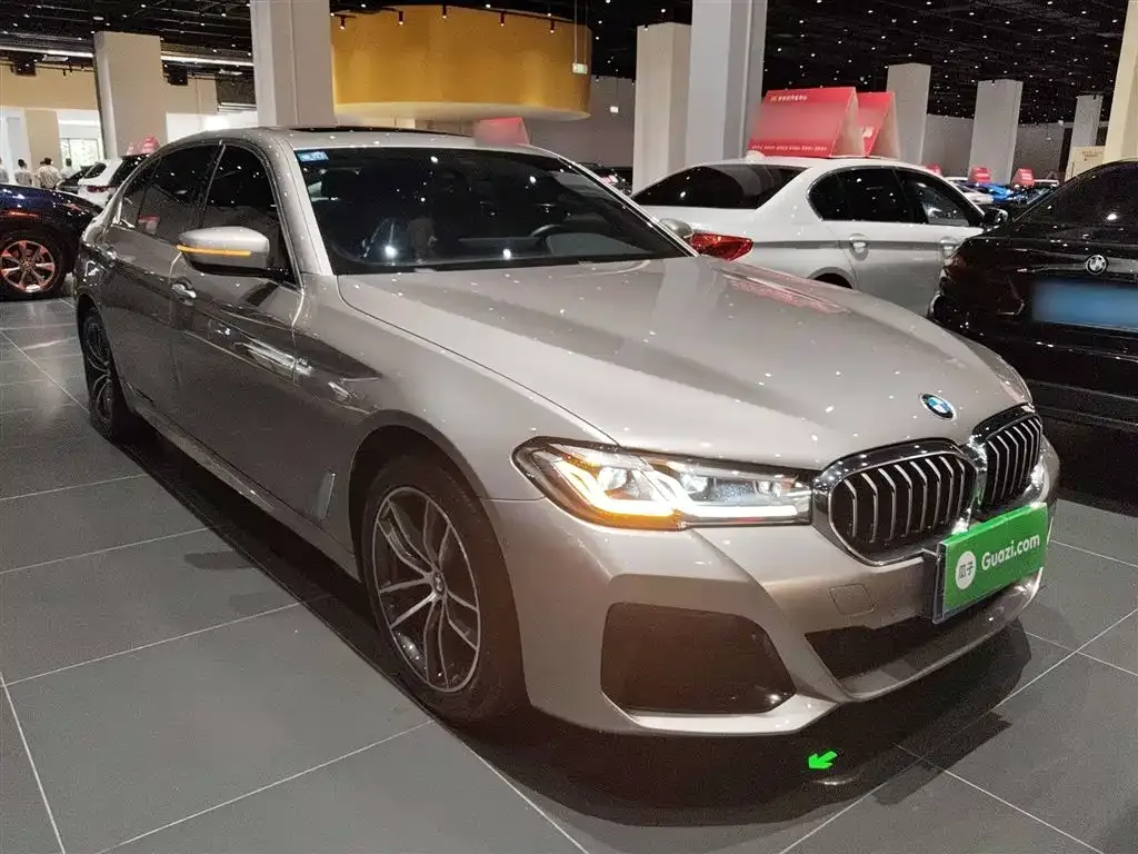BMW 5 Series 2022 из CN, фото 4