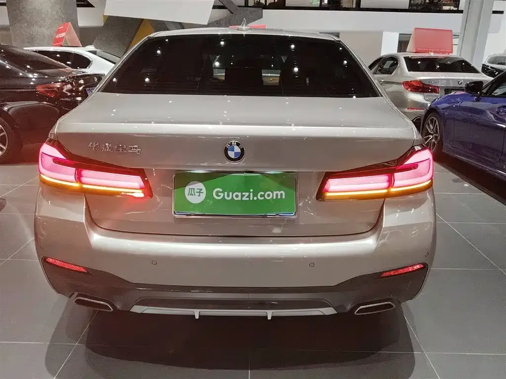 BMW 5 Series 2022 из CN, фото 6
