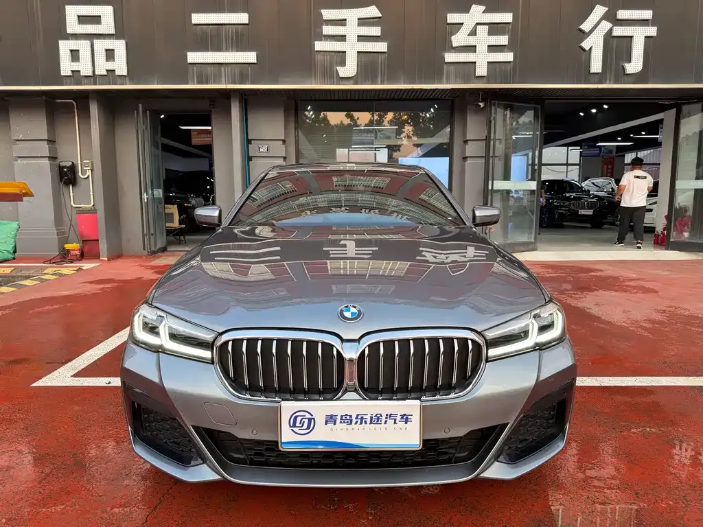 BMW 5 Series (Import) 2021 из CN, фото 2