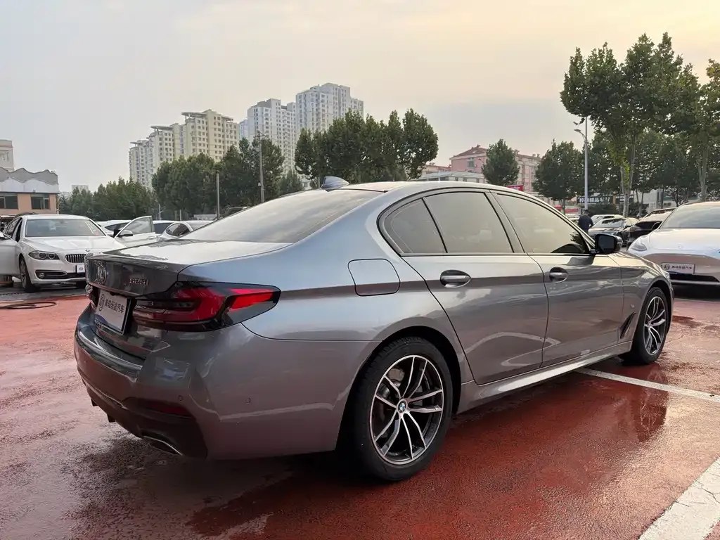 BMW 5 Series (Import) 2021 из CN, фото 6