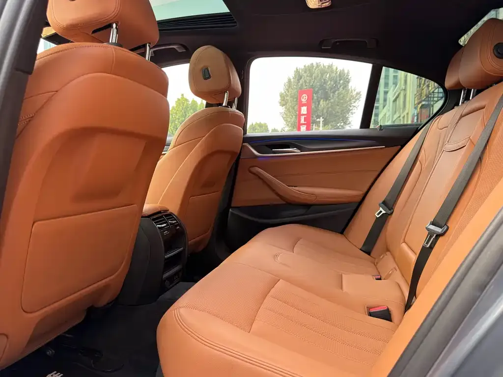 BMW 5 Series (Import) 2021 из CN, фото 8