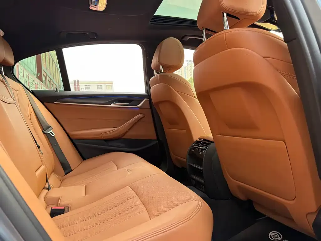 BMW 5 Series (Import) 2021 из CN, фото 9