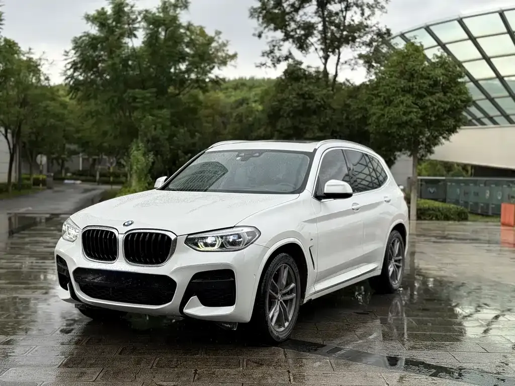 BMW X3 2021 из CN, фото 5