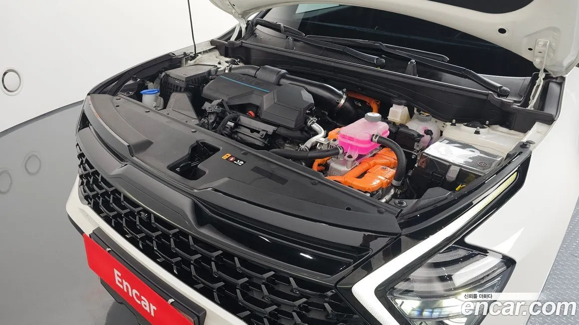 [object Object] Sportage 2024 из KR, фото 6