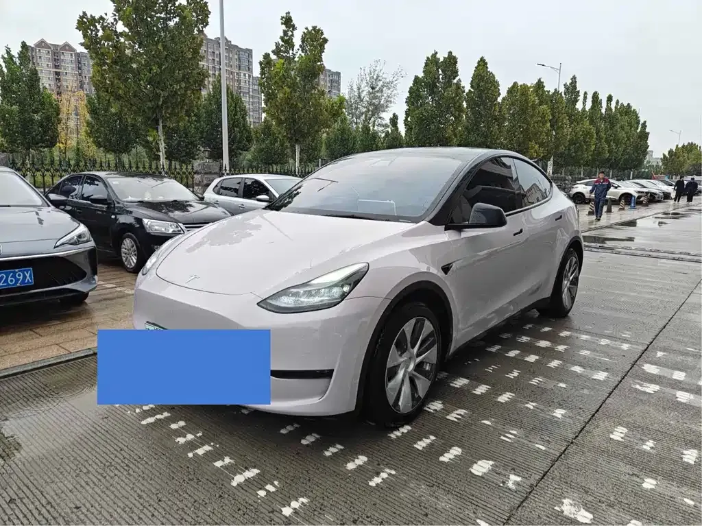 Tesla Model Y 2022 из CN, фото 1