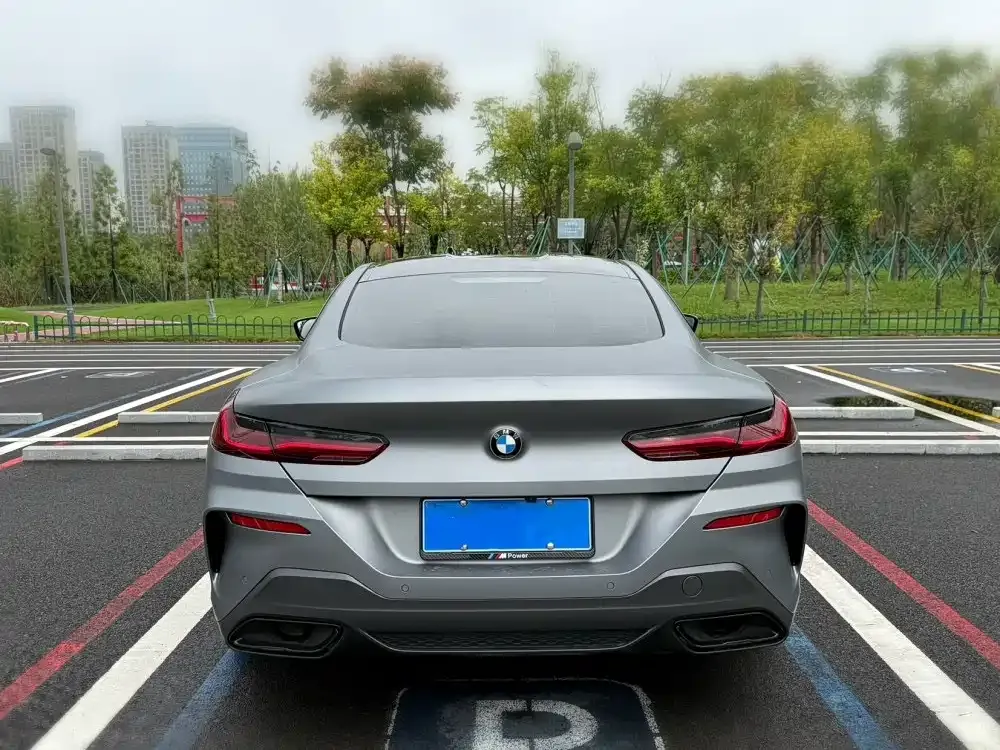 BMW 8 Series — фото 8