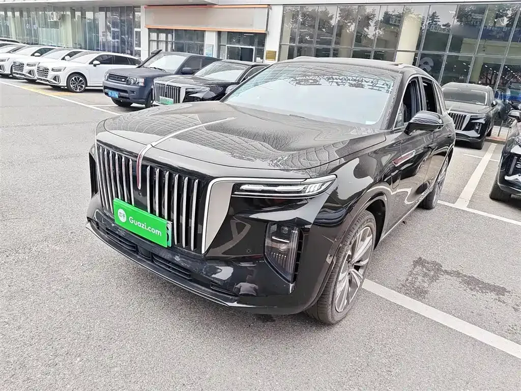 Hongqi E-HS9 2023 из CN, фото 1