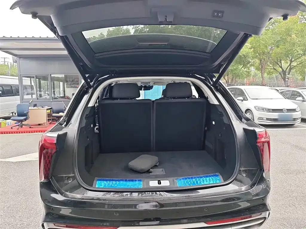 Hongqi E-HS9 2023 из CN, фото 10