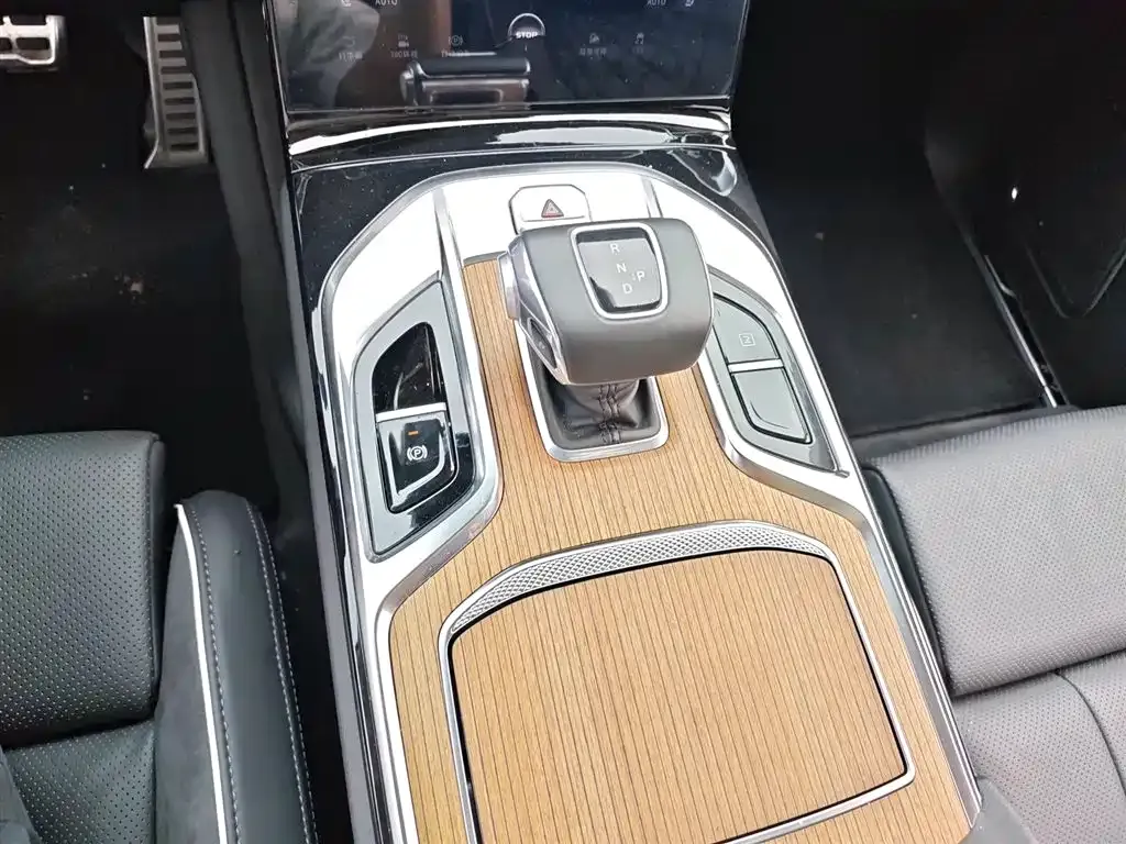 Hongqi E-HS9 2023 из CN, фото 7